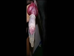 Master's dirty bitch Armands Lusis taste dog cum first time