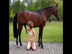 Horse Fucks Hot MILF
